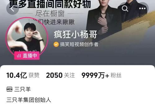 3只羊最新爆料,羊群背后的惊人真相